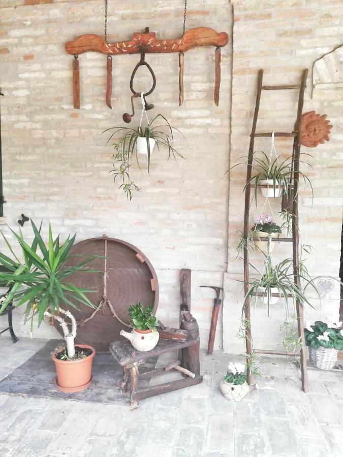 Casa Vacanza Flora Grottazzolina Εξωτερικό φωτογραφία